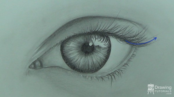 Shade the iris · step 4: How To Draw An Eye My Drawing Tutorials