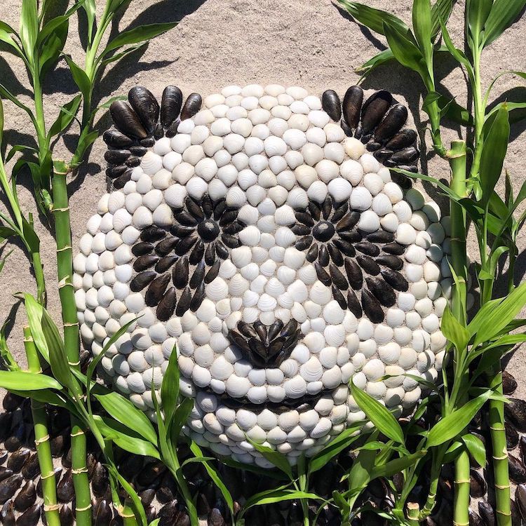 Artist Creates Charming Animal Portraits From Shells At The Beach