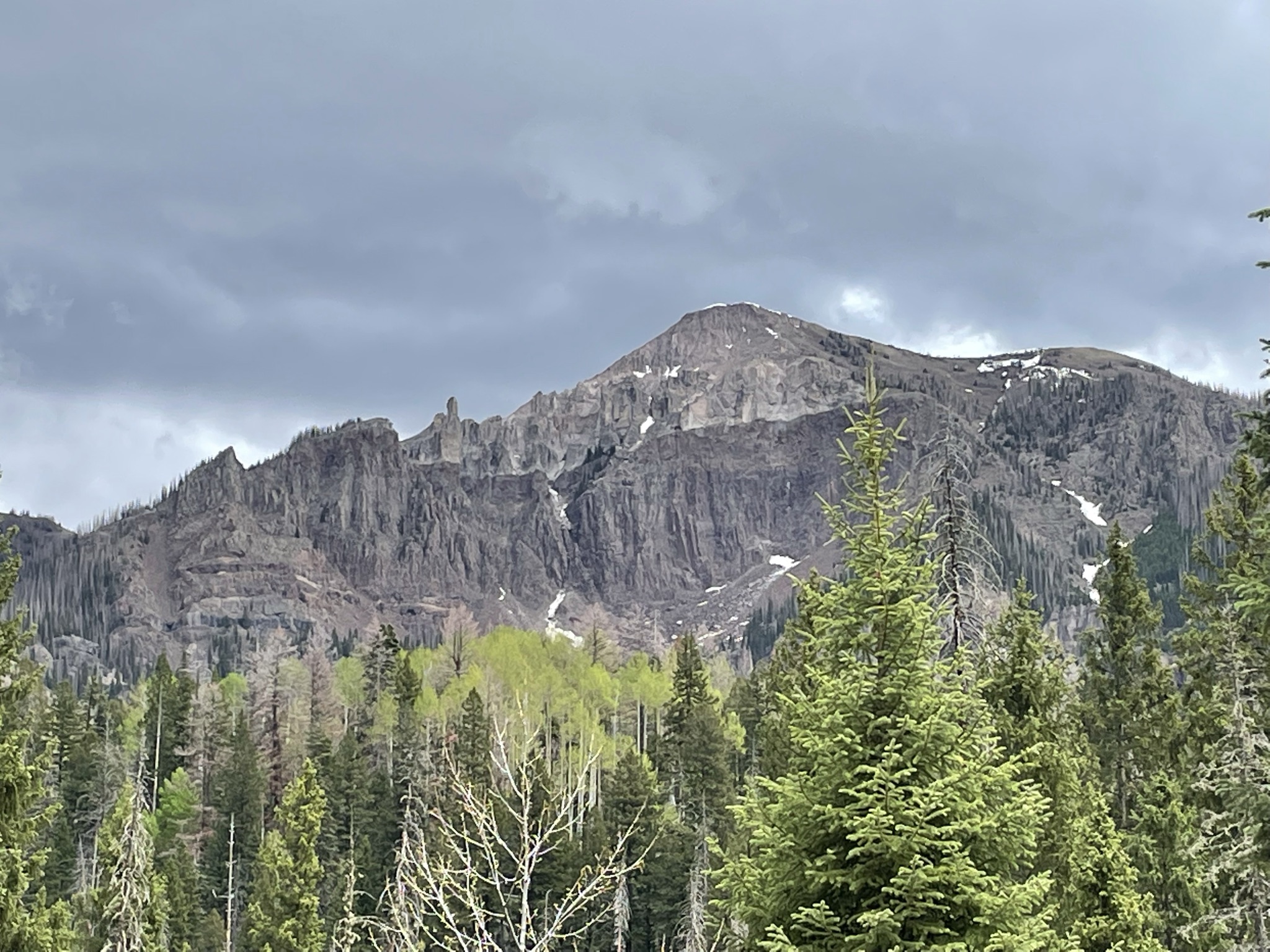 Turkey Creek Trail - Saddle Mountain