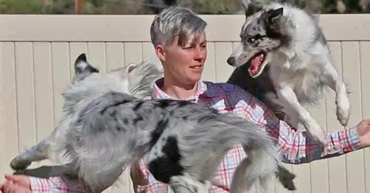 Two dogs from California just set the world record for most tricks ...