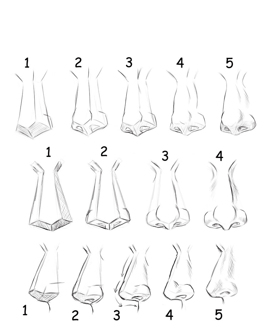 We visualize the minor and major . How To Draw A Nose Globetrotter