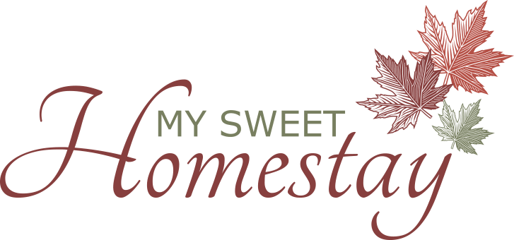 Canada's wonderland 오콘 stuffed animals & cuddly toys child, pororo, canada's. Toronto Attractions - My Sweet Homestay