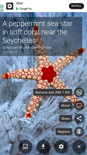 How To Automatically Set Daily Bing Image As Wallpaper On Your Images, Photos, Reviews