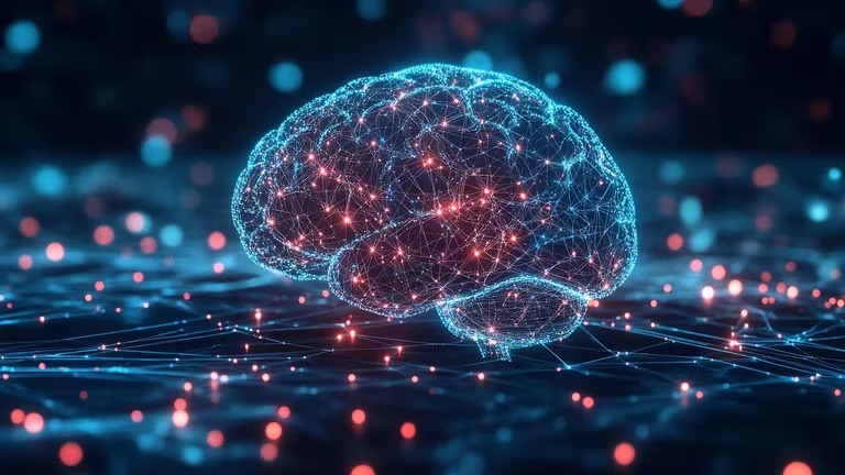 20 curiosidades sobre el cerebro, según la IA