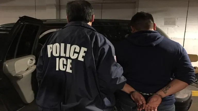 ICE arresta a siete dominicanos en gallinero clandestina en Puerto Rico
