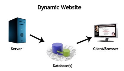 Ada dua istilah web, yaitu statis dan dinamis. Macam Macam Website Pengertian Website Naevaweb Com