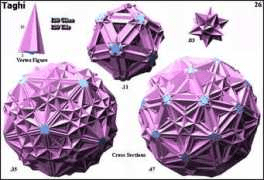 Sinds maart van dit jaar heeft hij zijn neef taghi al enkele keren . Taghi Family Name