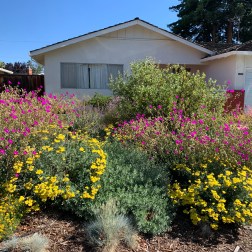 Ranch House with flower garden