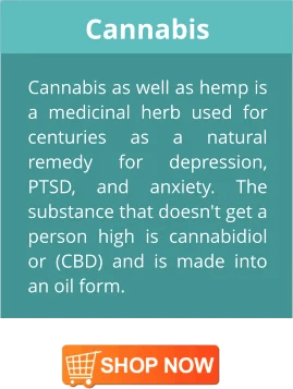 Supplement Blocks for Depression and Anxiety