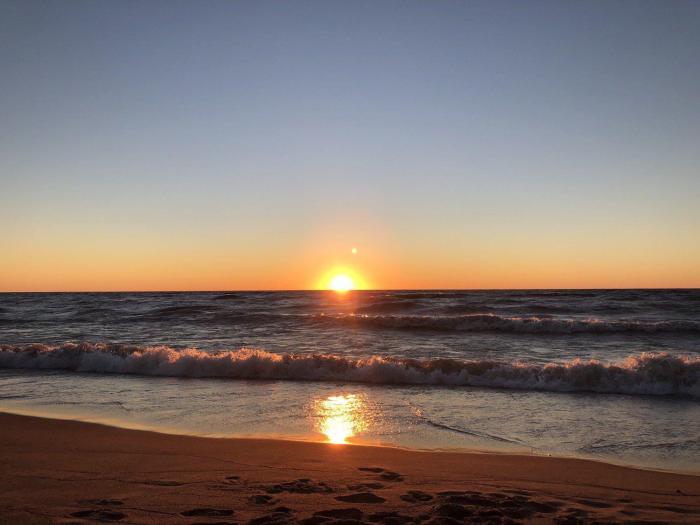 NEDIC | Tragically Beautiful