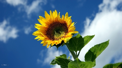 Лучшие частные экскурсоводы по ярославлю размещают свои предложения по экскурсиям и оригинальные маршруты на лучшем сайте по подбору гидов онлайн . Gidy V Yaroslavle