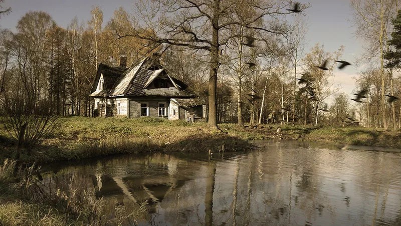 Регионы и бизнес заплатят за учет лесов