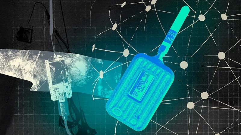 Роскомнадзор не справляется с блокировками в интернете — источники Forbes