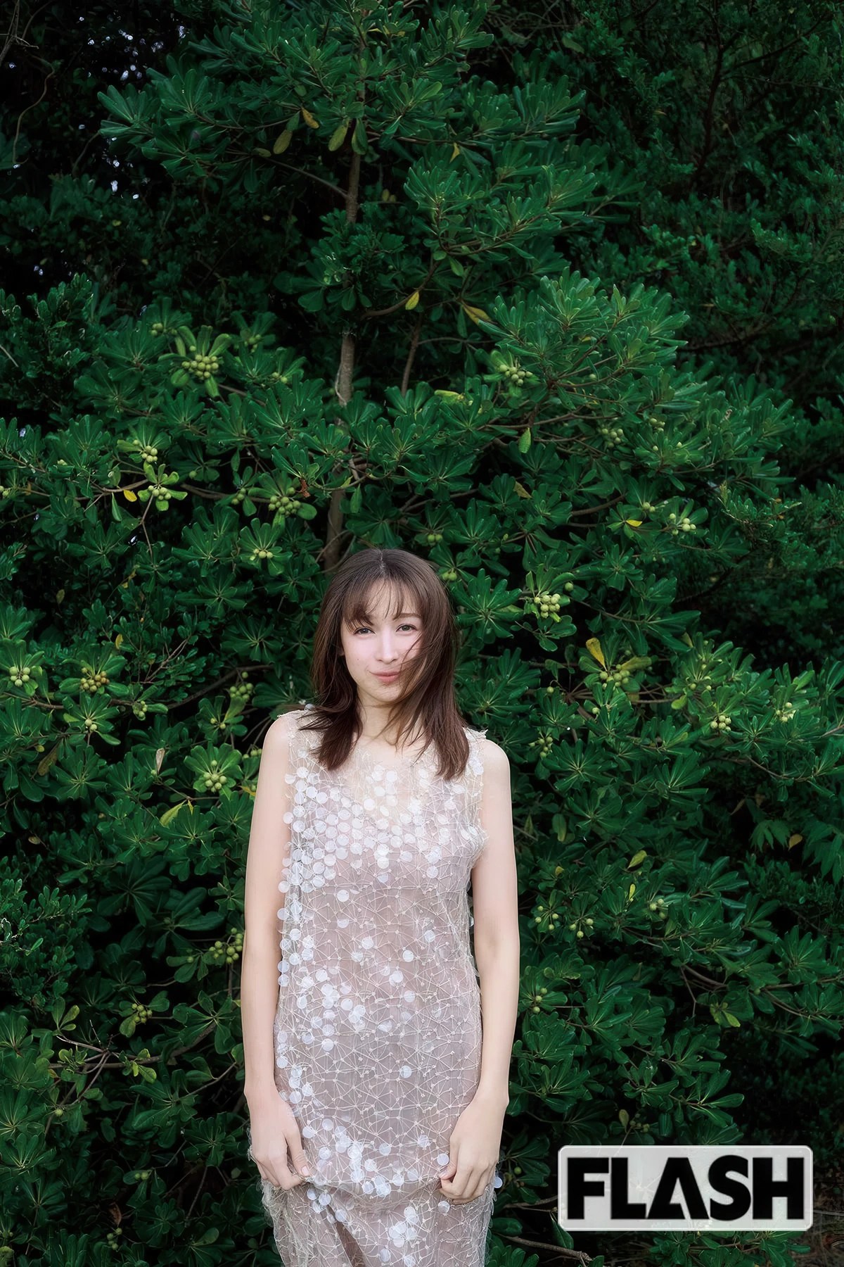 藤井サチ与入内嶋涼亮相FLASH 2026年1月20日号