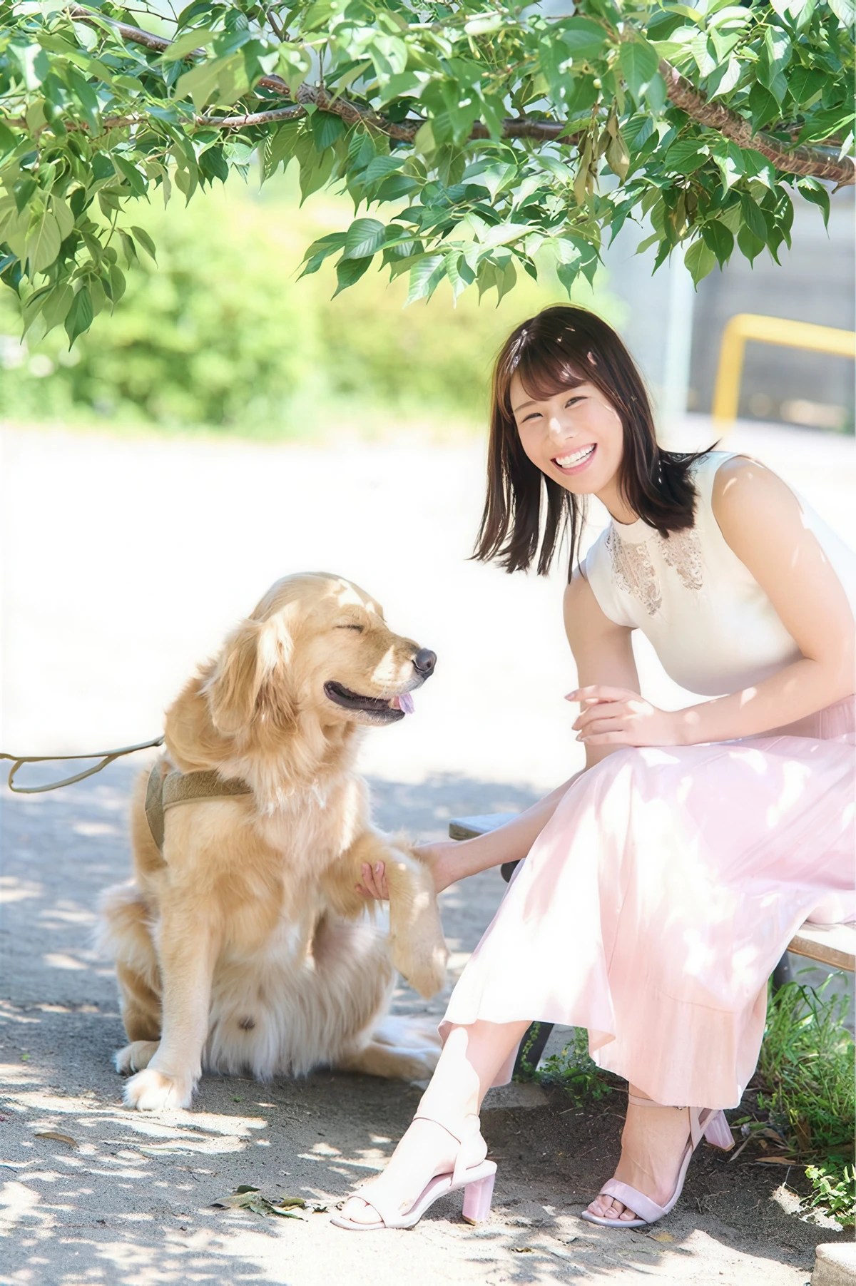 FLASHデジタル集の名作 FLASH 2025年12月23日号