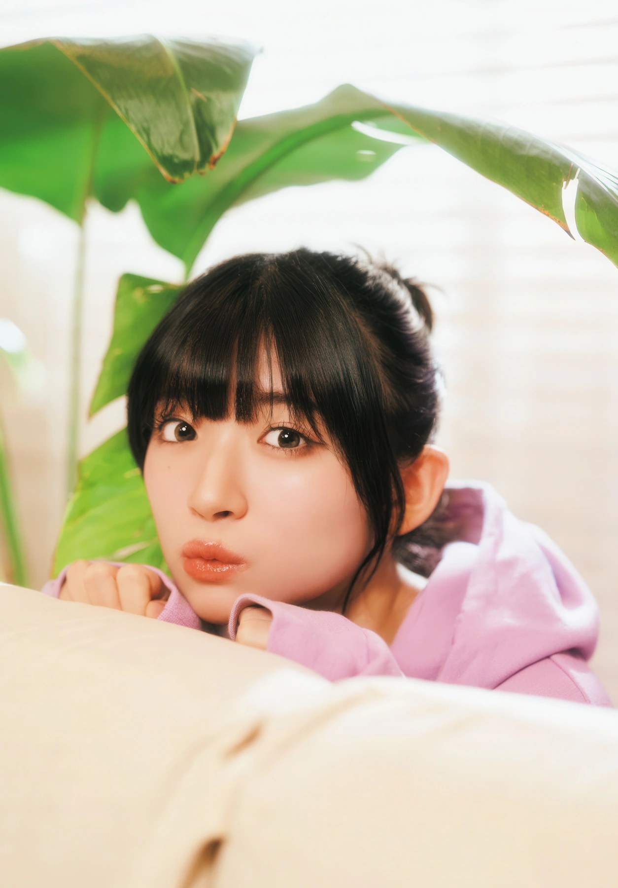 Amane Shindou 進藤あまね, Gekkan Dragon Age 2026.02 (月刊ドラゴンエイジ 2026年02月号) - 牛C网|NIUC.NET