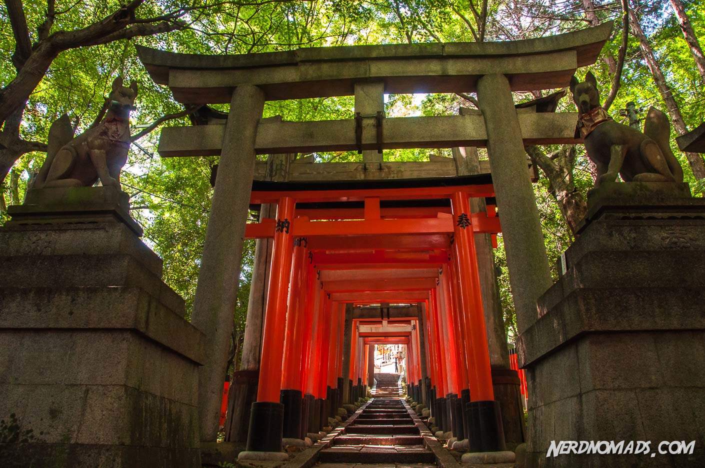 This name is officially written using the japanese name format, the family name is ninomae. Journey Through a Thousand Gates - Fushimi Inari Shrine
