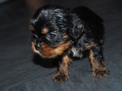 H�r �r kille 1