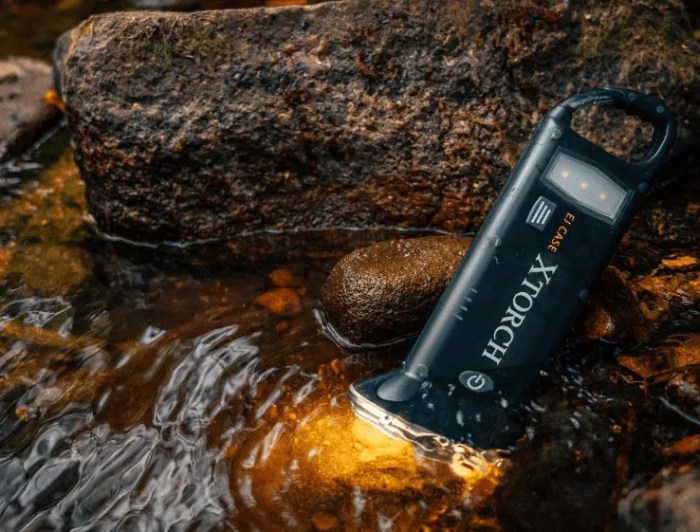 Xtorch Net Worth 2024 - Surges to $1 Million in Single Year Xtorch net worth 2022