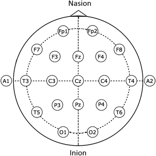EEG Instrumentation, Montage, Polarity, and Localization | Neupsy Key