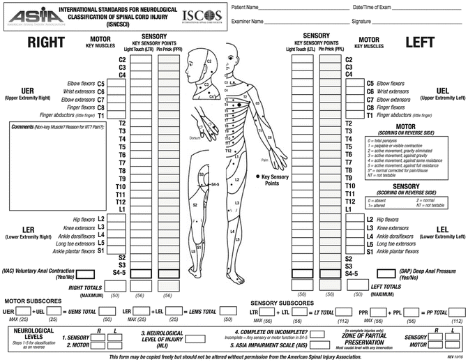 Medical History and Physical Examination Neupsy Key