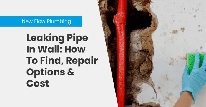 How Much Does It Cost To Fix Leaking Plumbing?