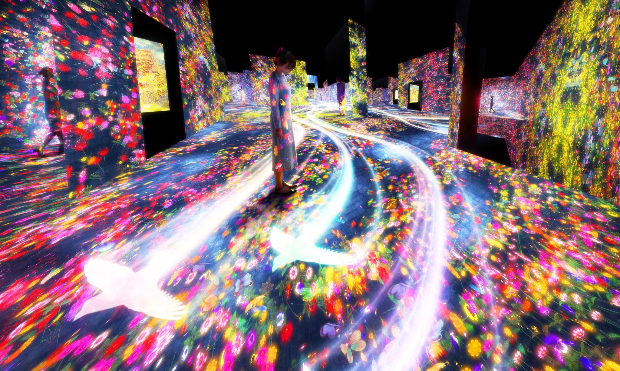71/2011 pentru punerea în aplicare a legii nr. Futuristic Collective teamLab Will Launch Its Own Museum