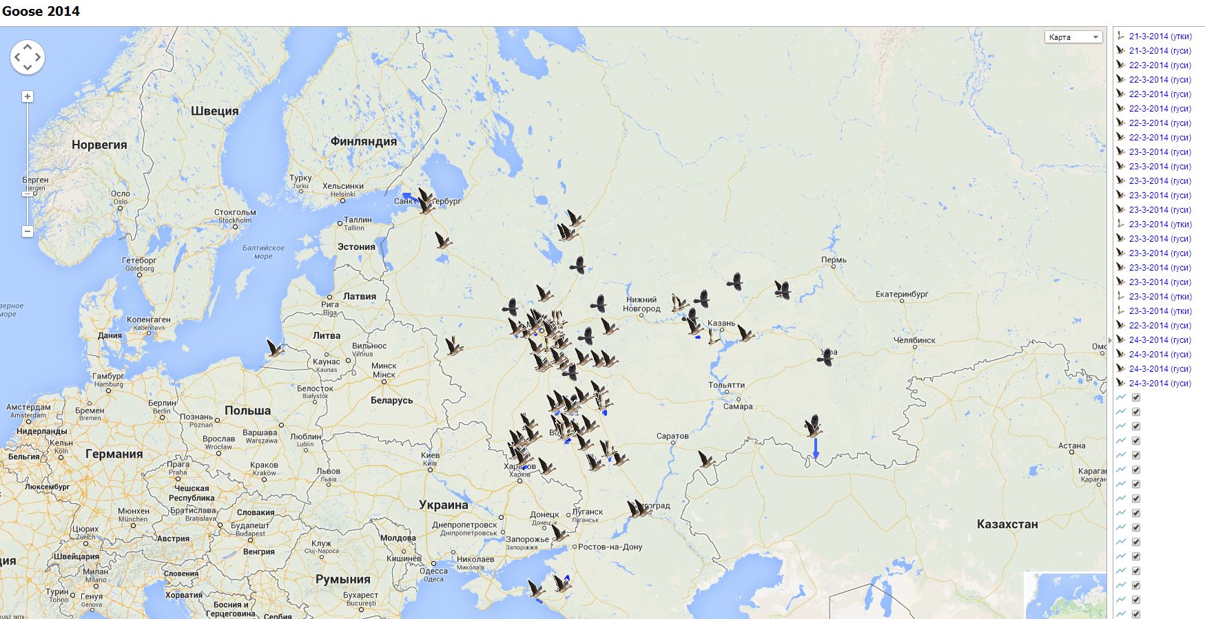 Карта миграции гусей в россии весной