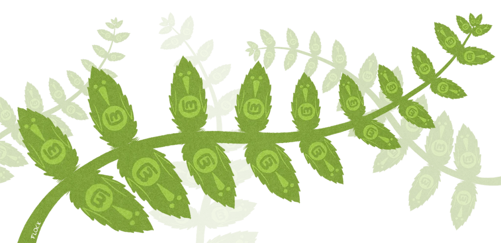 Linux Mint 22 selon Flock