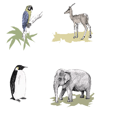 Tundra Biome Drawing - Sketchy The Doodling Back To Basics Non Character Practice /