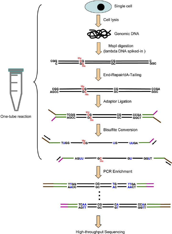 A free inside look at company reviews and salaries posted anonymously by employees. NGB DIAGNOSTICS PRIVATE LIMITED - Home