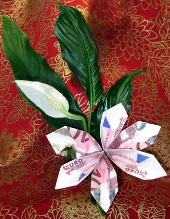 Buch falten anleitung vorlage zum ausdrucken lieblingsmensch buch falten vorlagen zum ausdrucken kostenlos 55 designs basteln zu weihnachten . Bastelanleitung: Geldblume falten - Geldgeschenke - Nic