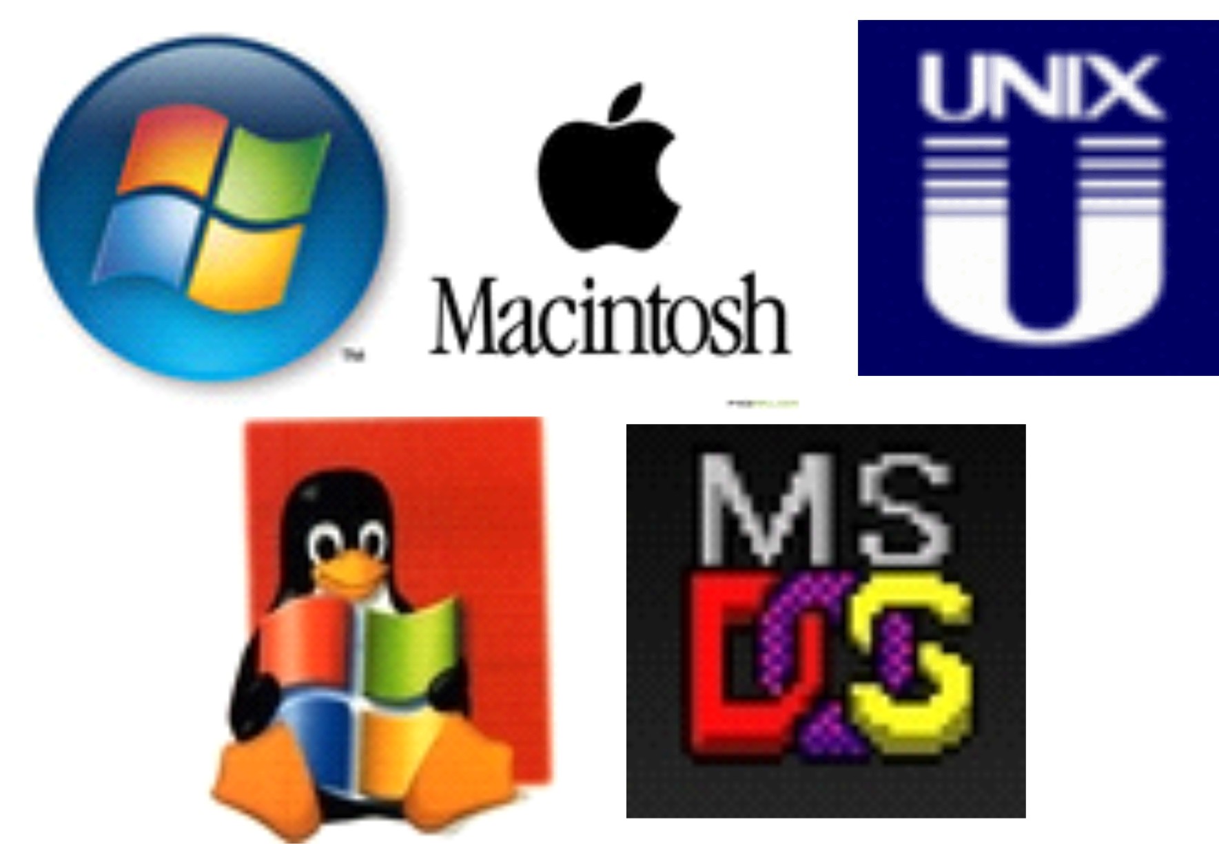 Sistem operasi (baik windows, linux atau macos) umumnya memiliki aplikasi . Perbedaan Sistem Operasi Program Aplikasi Dan Bahasa Pemograman Khonisa S Blog