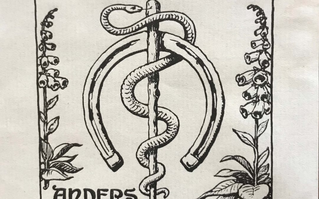 Velkommen til Slangens År