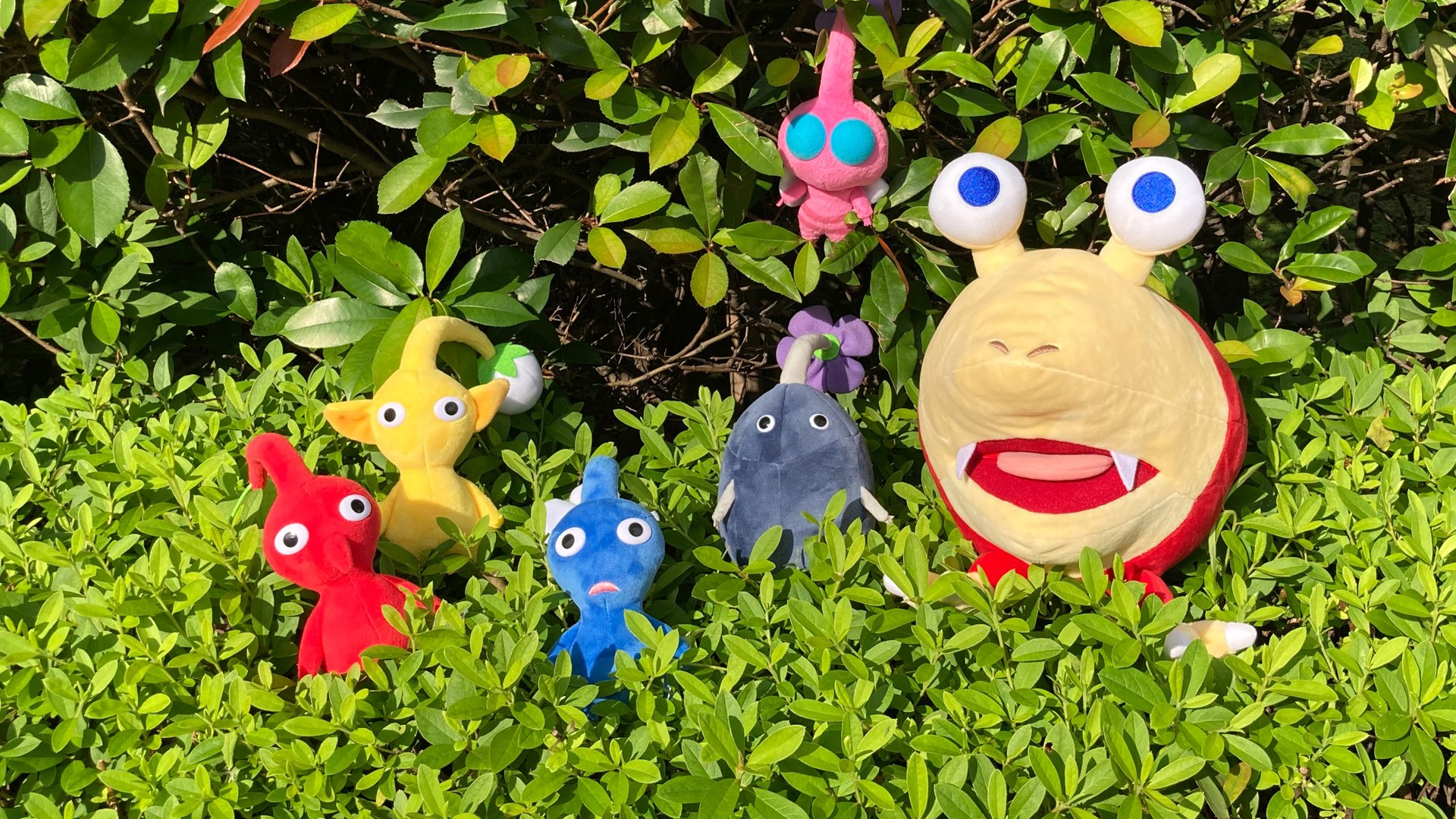 Arceus includes a cool easter egg. Pikmin 3 plushes returning this October | Nintendo Wire