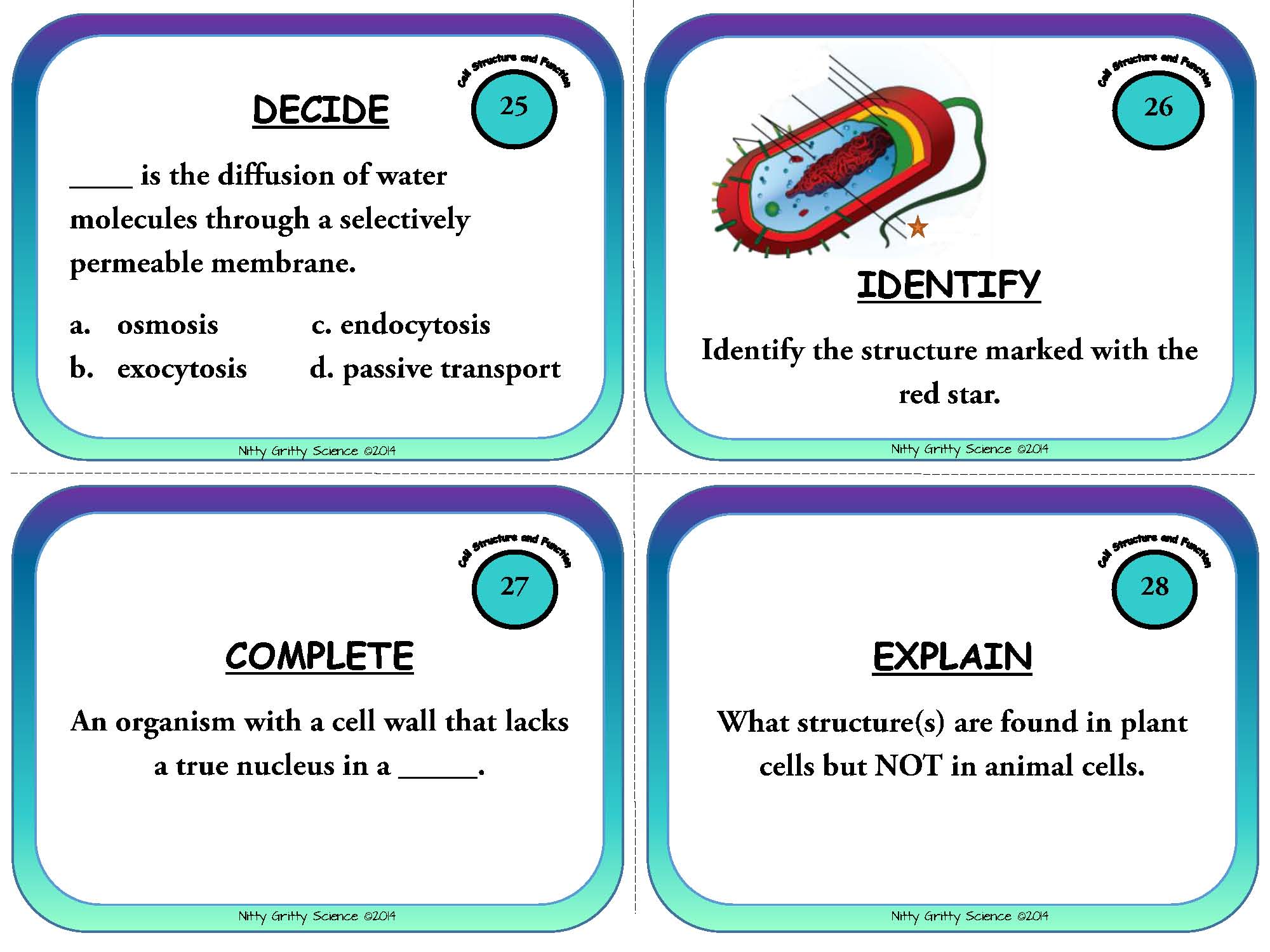 Cells Structure and Function Life Science Task Cards Nitty Gritty