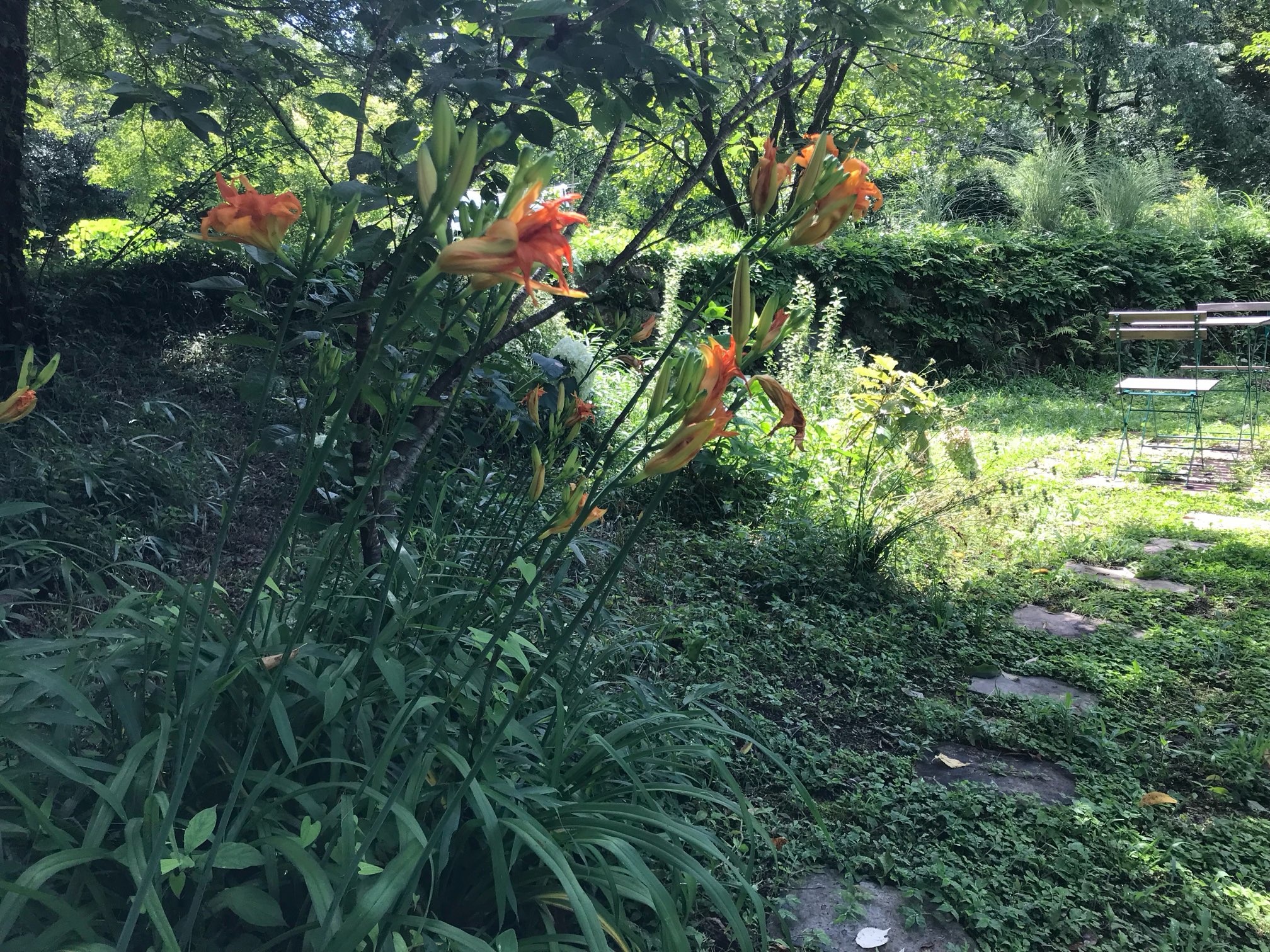 2025年9月〈店舗休業・出張営業あり〉