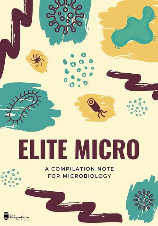 Microbiology Notes - Basic Microbiology Notes - Notespaedia