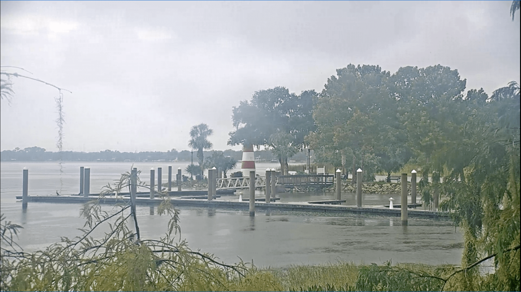 FAMILIA PIDE RESPUESTAS TRAS MUERTE DE HOMBRE EN UN ESTANQUE DE JACKSONVILLE FAMILIA PIDE RESPUESTAS TRAS MUERTE DE HOMBRE EN UN ESTANQUE DE JACKSONVILLE
