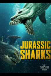 Jurassic Sharks