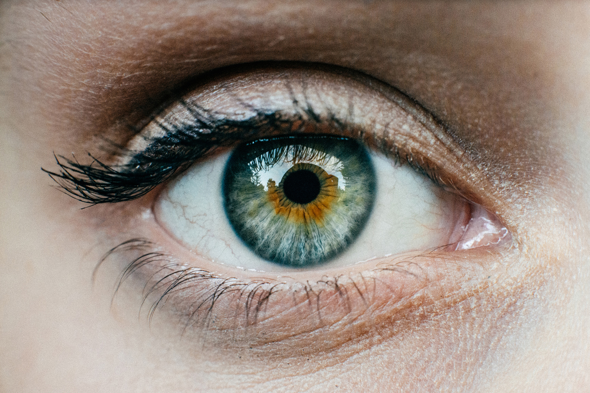 You may not realize it, but both your eyes have a natural blind spot, or scotoma. First human clinical trials involving a bionic eye set to