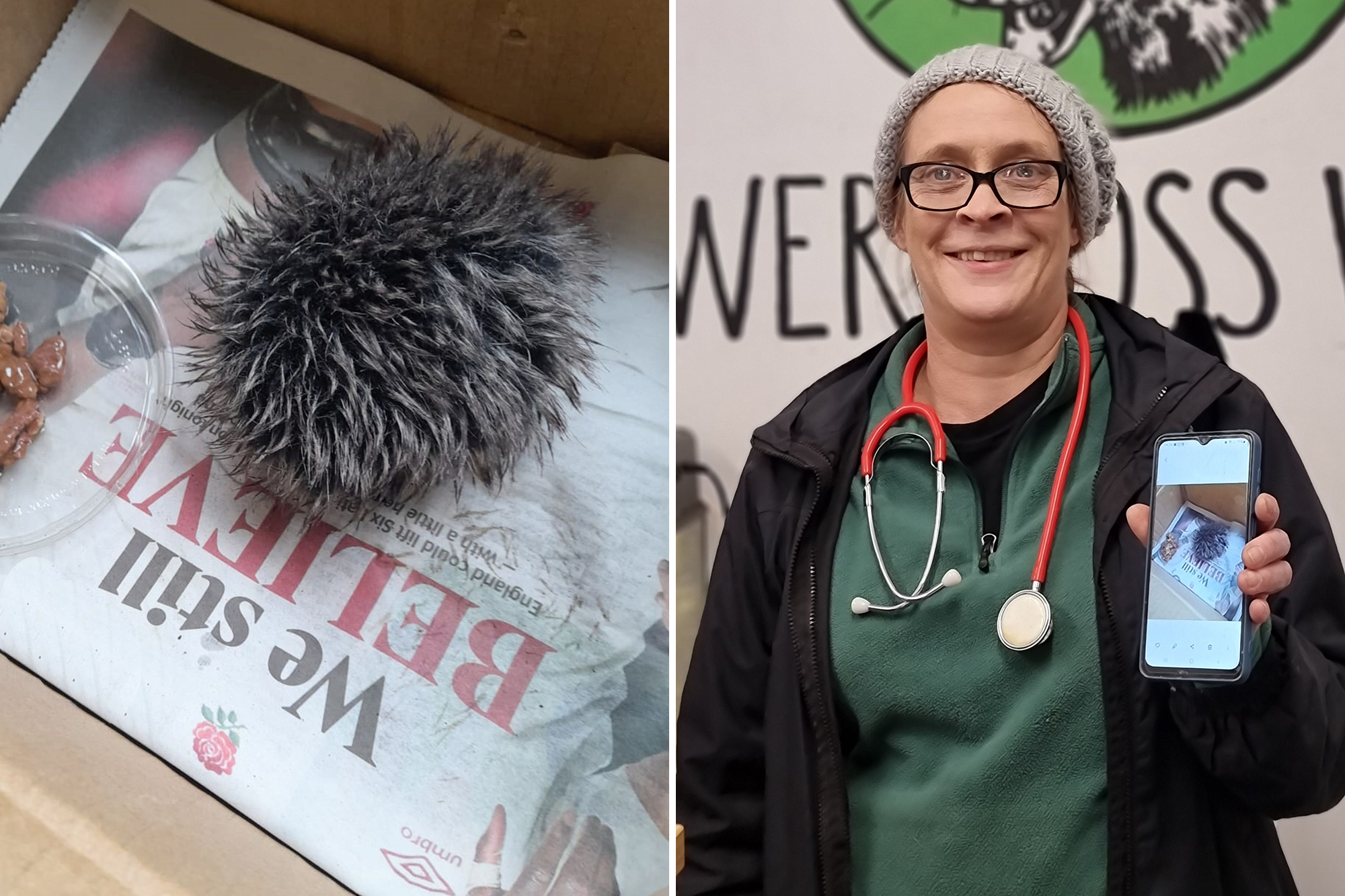 British woman mistakes hat pom pom for baby hedgehog