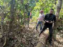 ANCIÃO SERINGAL FILIPINAS_008_@oaltoacre.com ANCIÃO SERINGAL FILIPINAS_008_@oaltoacre.com