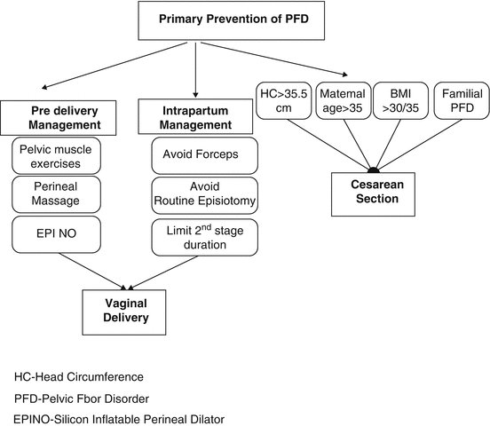 Genital Prolapse and Urinary Incontinence After Childbirth | Obgyn Key