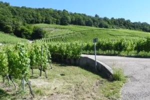 Rapprochement des communes de l'E2L