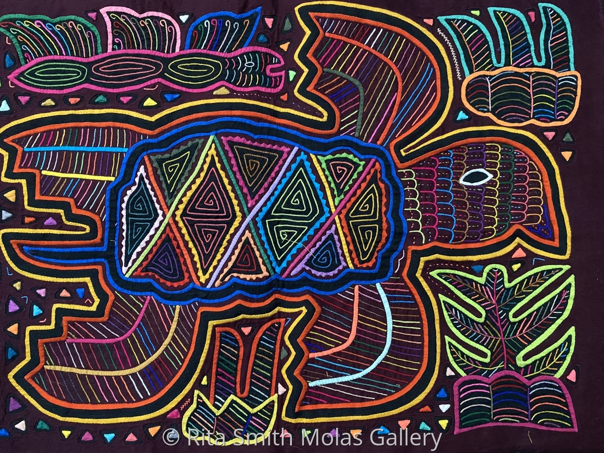 Las cartillas nacho buscan desarrollar el aprendizaje con libros didácticos, por esta razón el libro inicial de lectura niños y niñas de 4 años empezaran a . Mola Turtle : Palm turtle Mola by Patti Schermerhorn : On