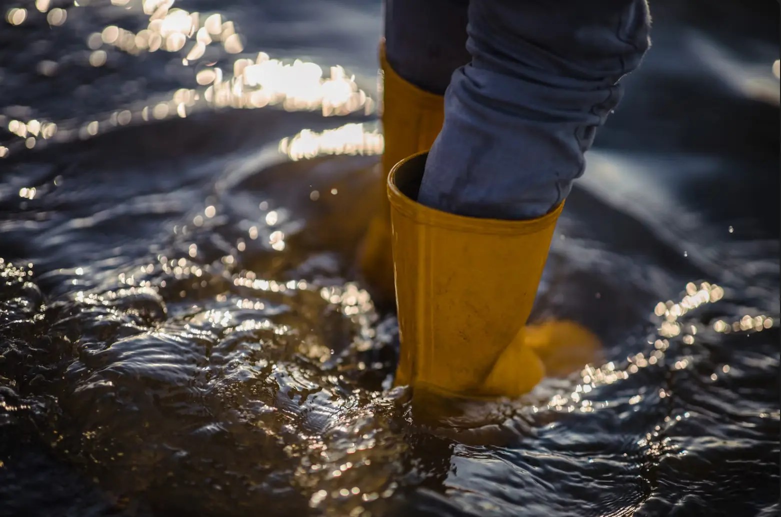 AI Flood, la nouvelle attaque qui détruit les sites Web espagnols AI Flood, la nouvelle attaque qui détruit les sites Web espagnols