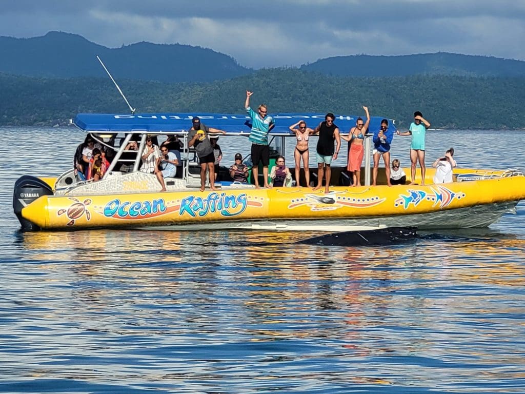 $64* off ocean rafting fly & raft package deal & $35 off scenic flights 60. Latest News Ocean Rafting Website