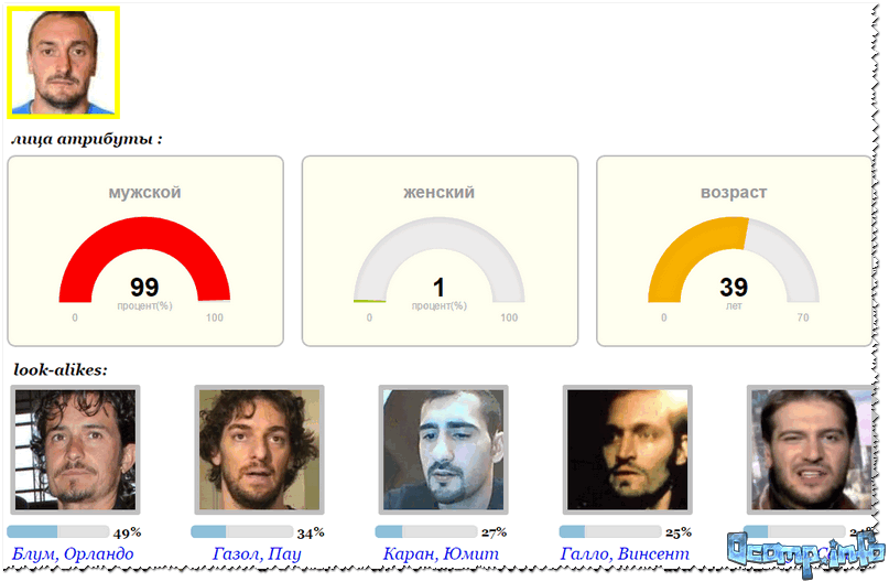 поиск по клон двойник. искать человека по фото в интернете. Findclame. программа для поиска похожих людей по фото. поиск по клон двойник.