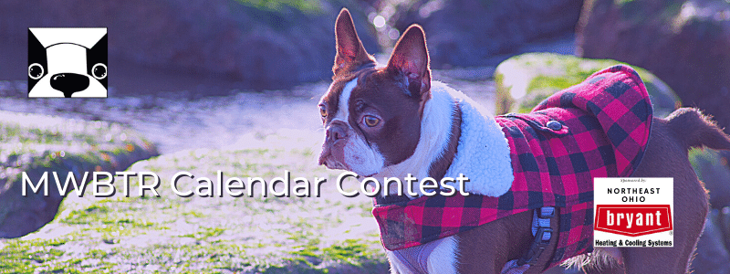 2022 calendar contest